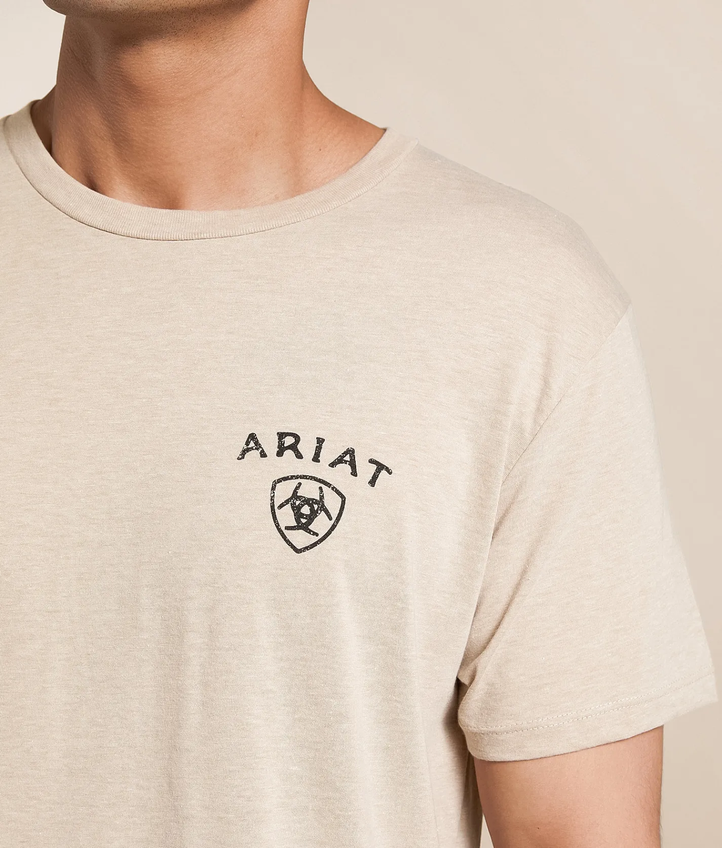 Ariat Aces High Bronc T-Shirt Brindle Heather Hot