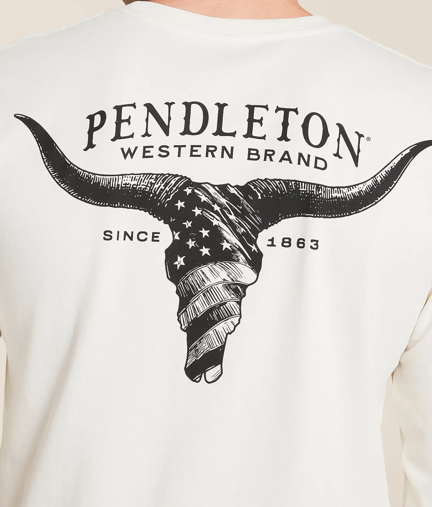 Tops|Graphic T-Shirts | Pendleton American Skull T-Shirt Vintage White