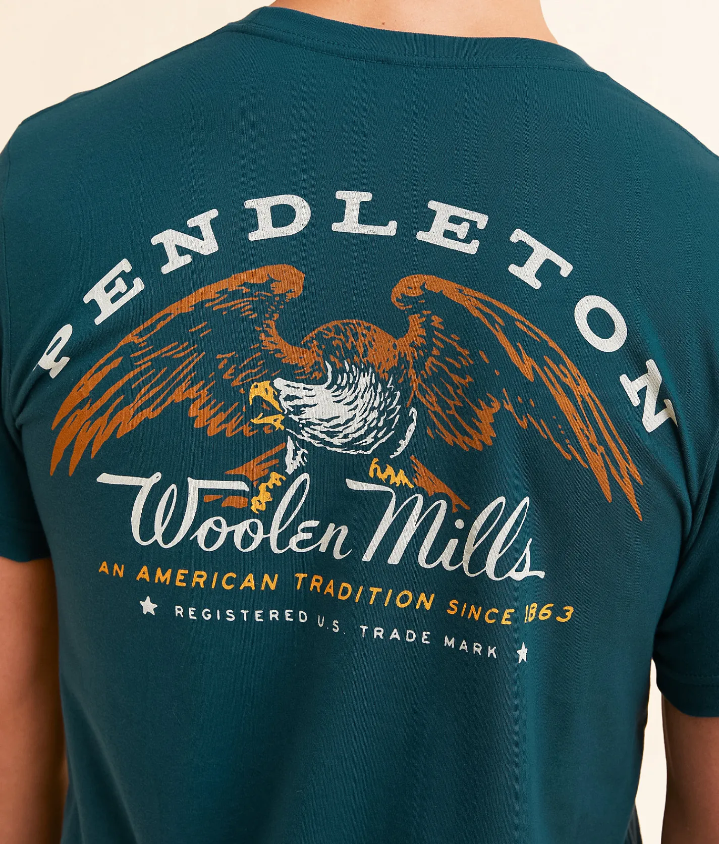 Graphic T-Shirts | Pendleton Atlantic T-Shirt Atlantic Multi