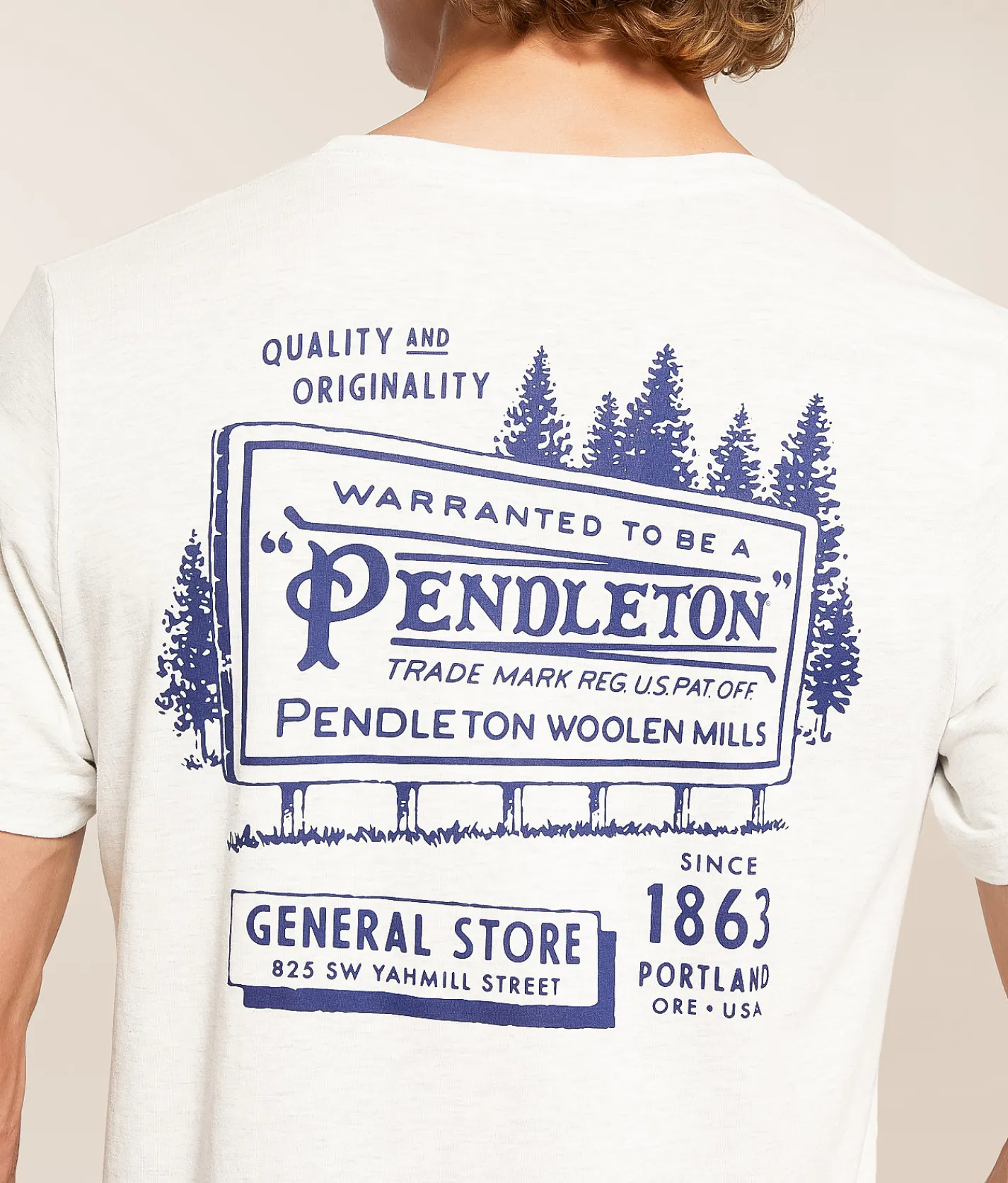 Pendleton Billboard T-Shirt Ash New