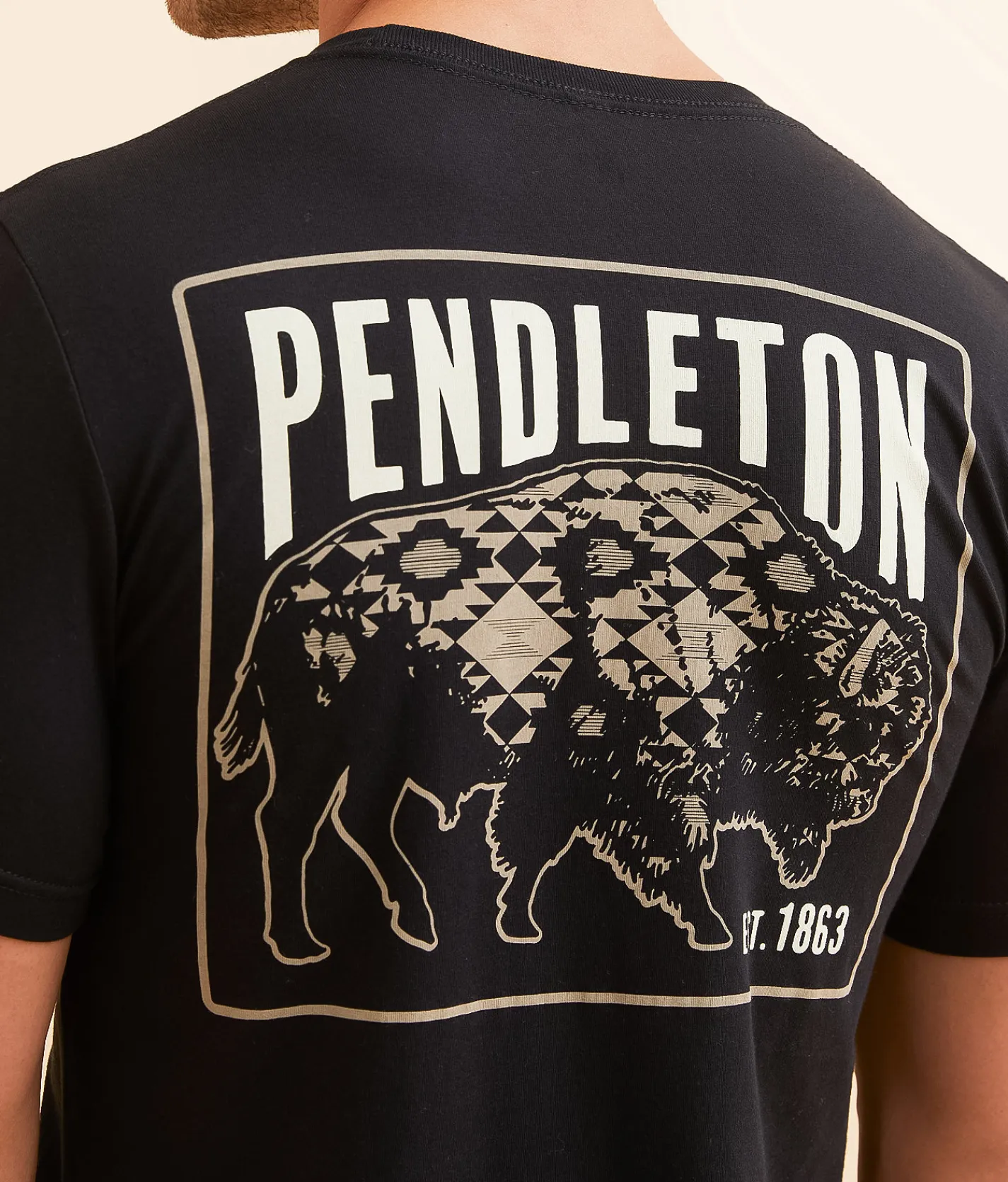Graphic T-Shirts | Pendleton Bison Stamp T-Shirt Forest