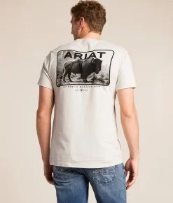 Tops|Graphic T-Shirts | Ariat Buffalo Valley T-Shirt Glacier Gray
