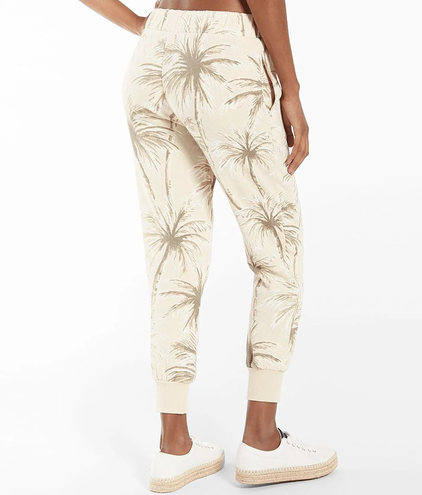 Bottoms | Z Supply Coconut Palm Jogger Sweatpant Grey