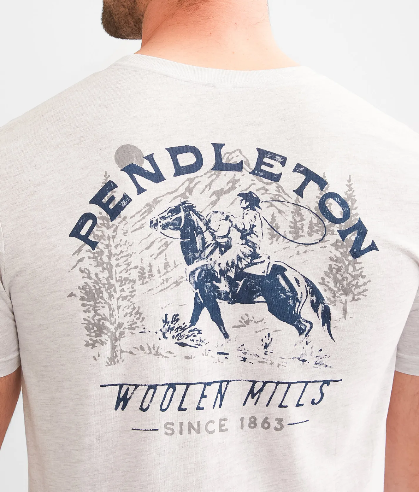 Graphic T-Shirts | Pendleton Cowboy T-Shirt Ash