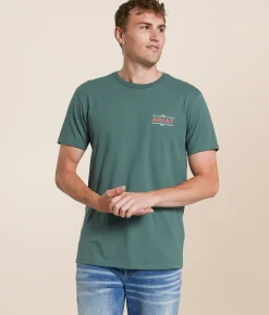 Ariat Diamond Burst T-Shirt Silver Pine Hot