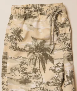 Swimwear | Rip Curl Dreamers Volley Stretch Swim Trunks Fatigue