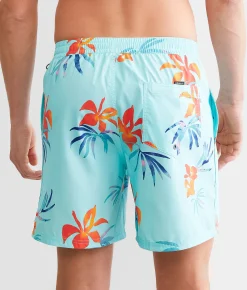 Quiksilver Everyday Mix Volley Swim Trunks Limpet Shell New