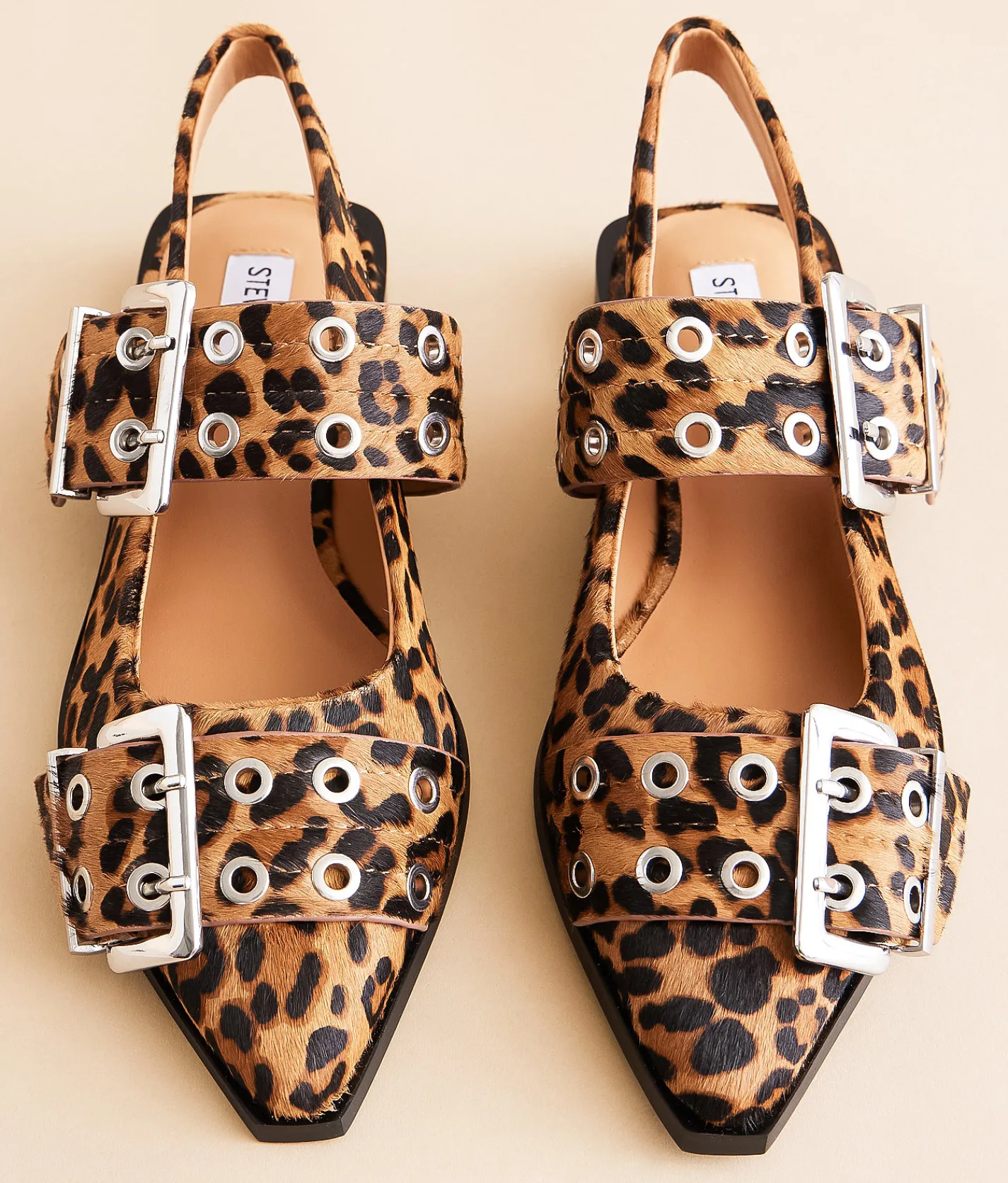 Steve Madden Graya Slingback Shoe Leopard Outlet