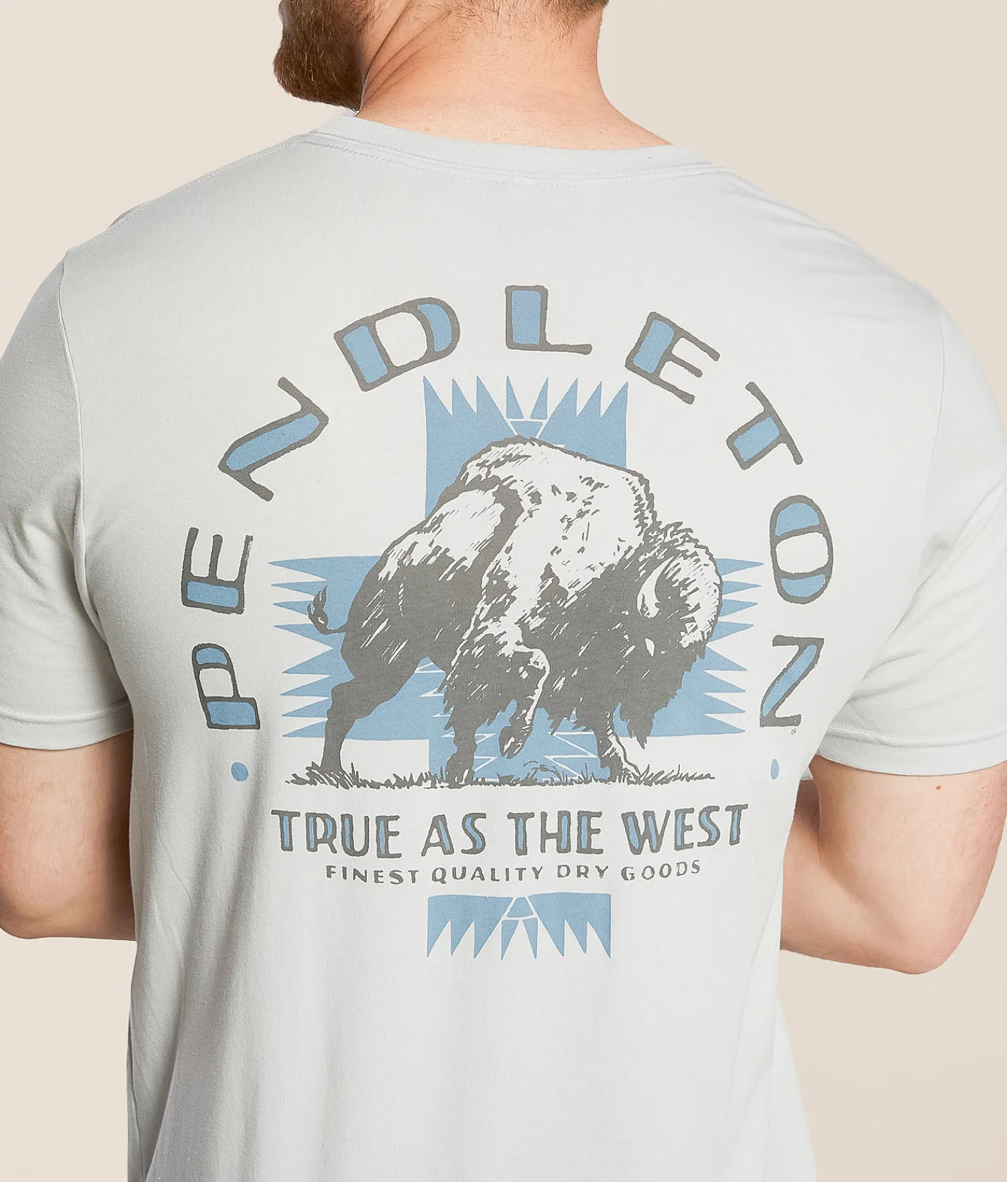 Graphic T-Shirts | Pendleton Harding Buffalo T-Shirt Silver