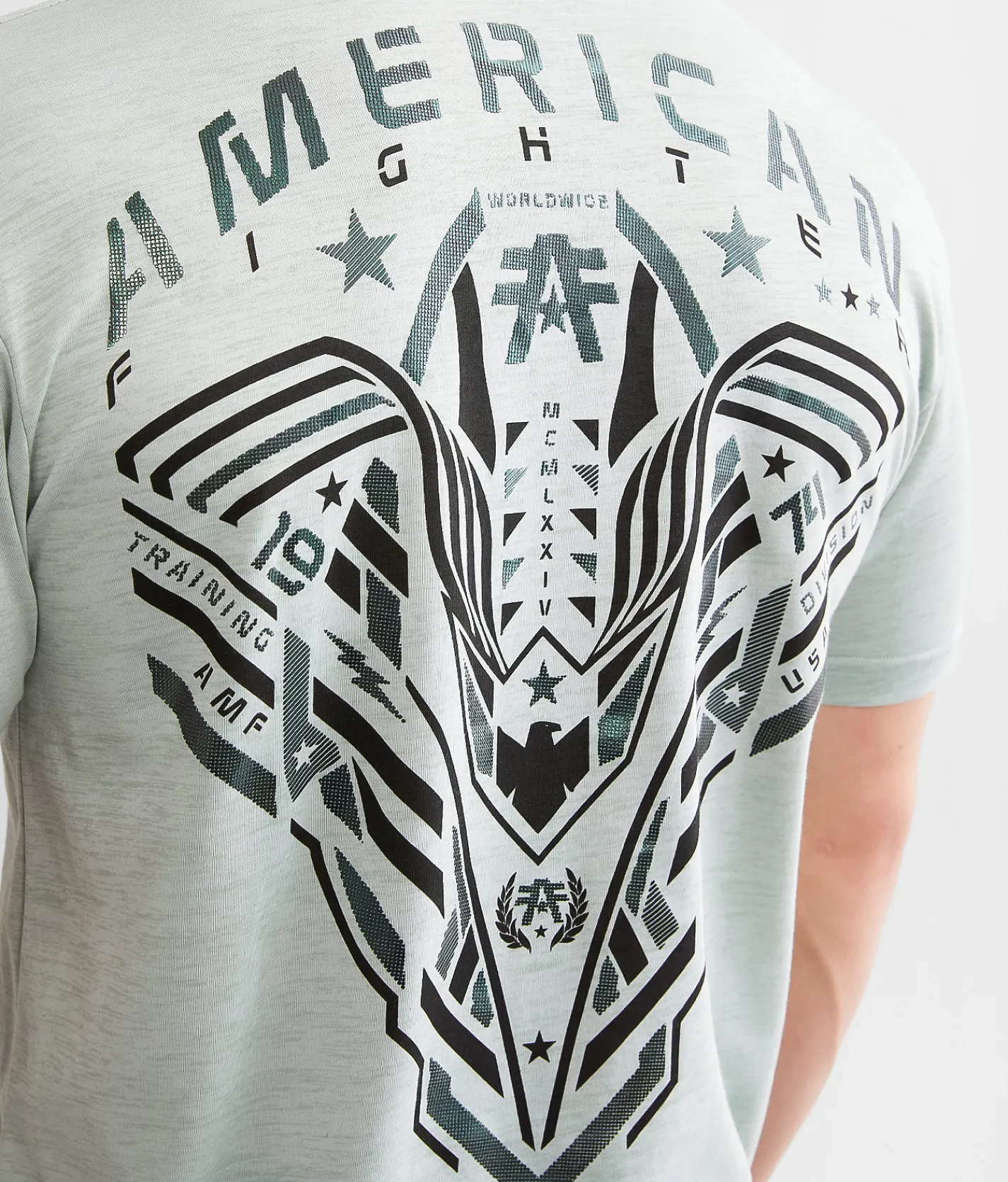 American Fighter Hollins T-Shirt Iceberg Green Zephyr Blue