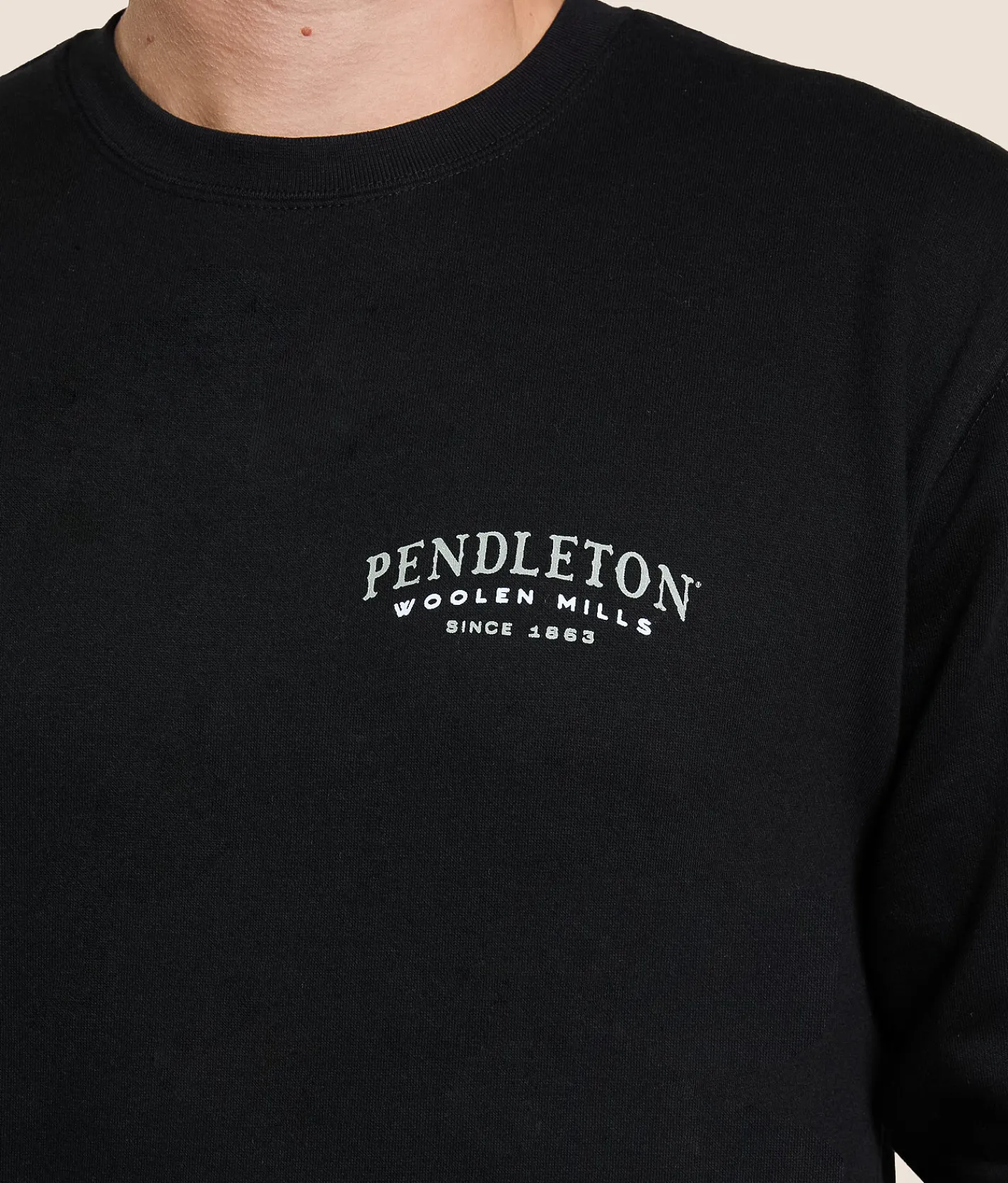 Pendleton Longhorn Skull Pullover Black