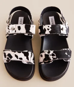 Steve Madden Mona Cow Print Sandal Blk Wht Online