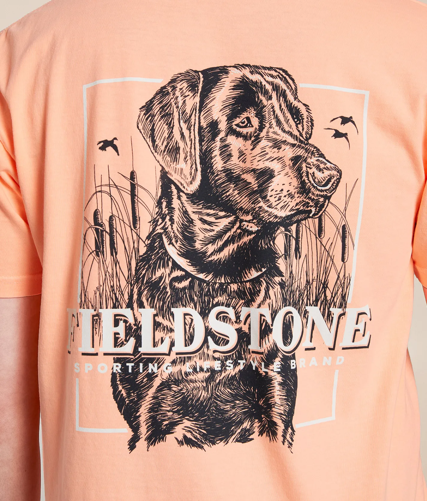 Graphic T-Shirts | Fieldstone Neon Monotone T-Shirt Neon Cantaloupe