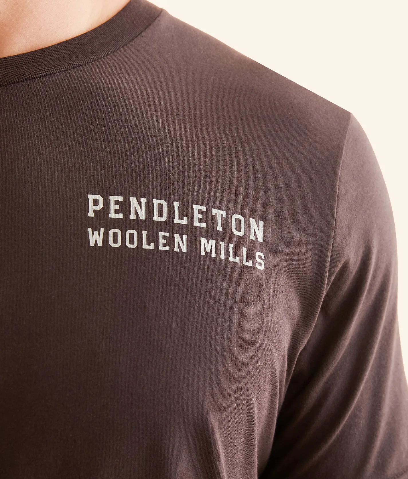 Graphic T-Shirts | Pendleton Opal Springs T-Shirt Brown