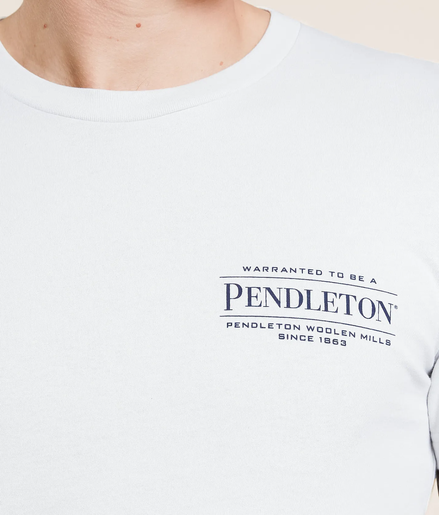 Graphic T-Shirts | Pendleton Oxbow T-Shirt Silver