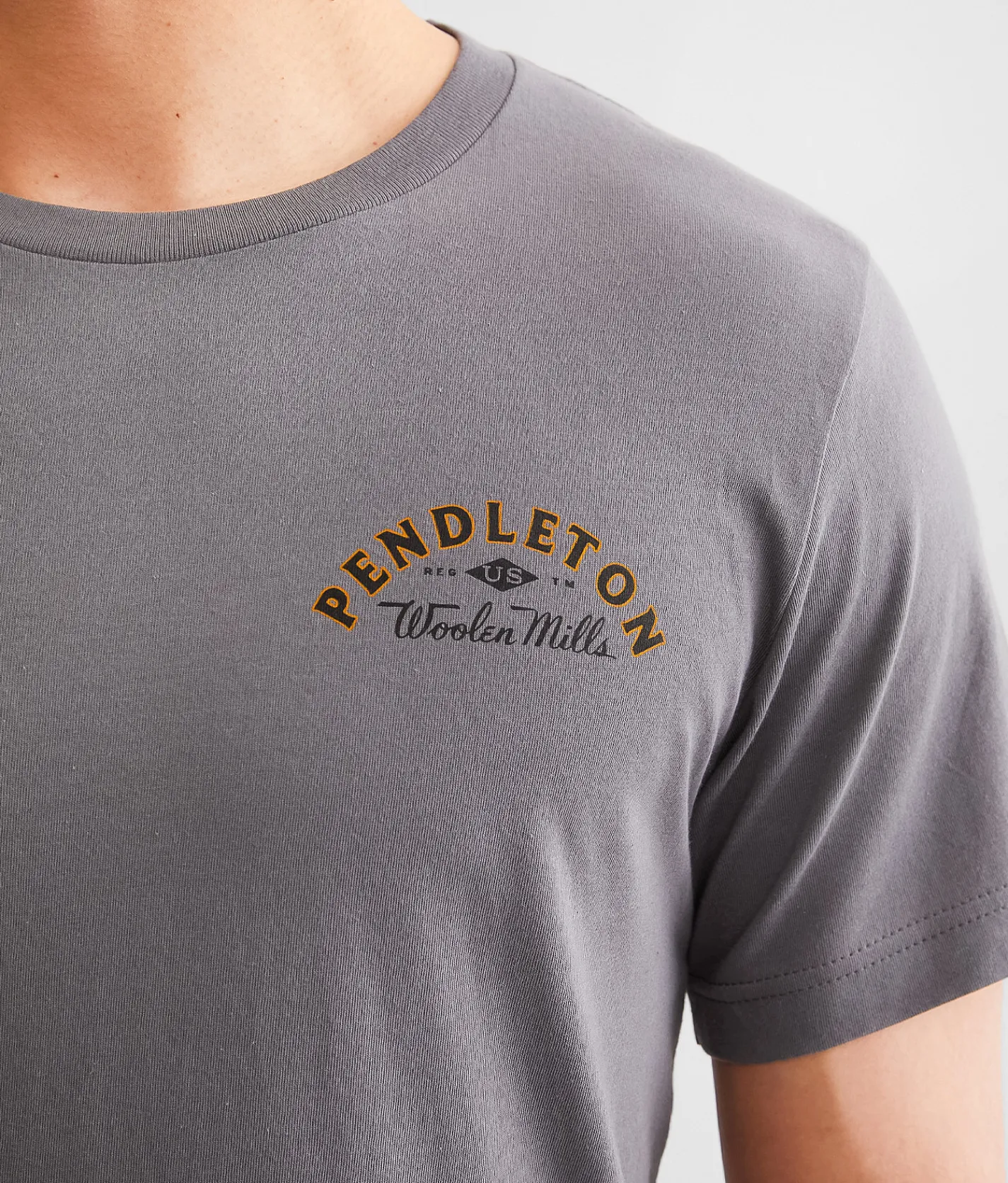 Graphic T-Shirts | Pendleton Plains Bison T-Shirt Asphalt