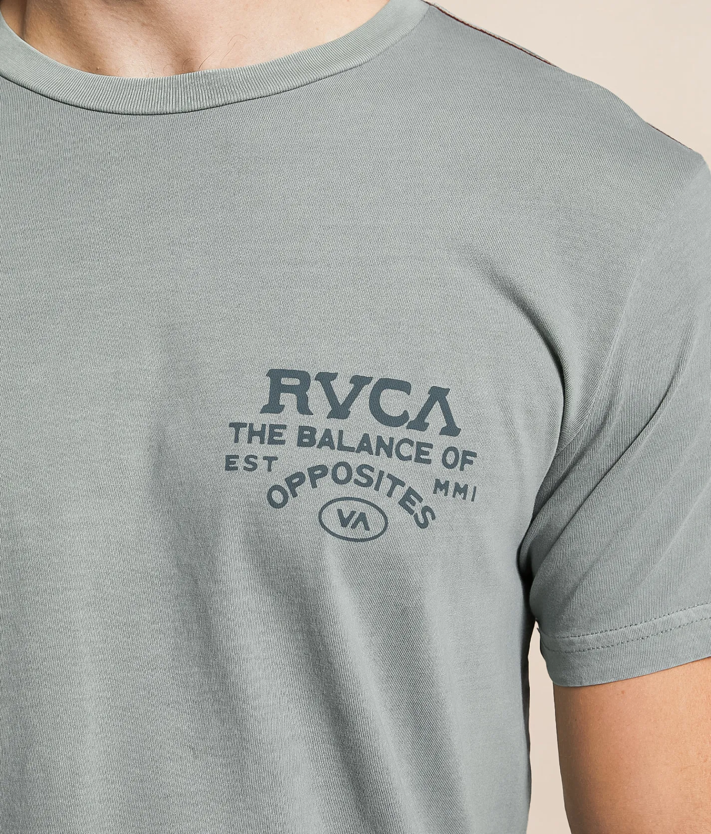 RVCA Plein View T-Shirt Monument Best
