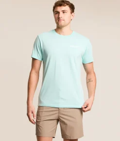 Ariat Pristine Shield T-Shirt Soothing Seas