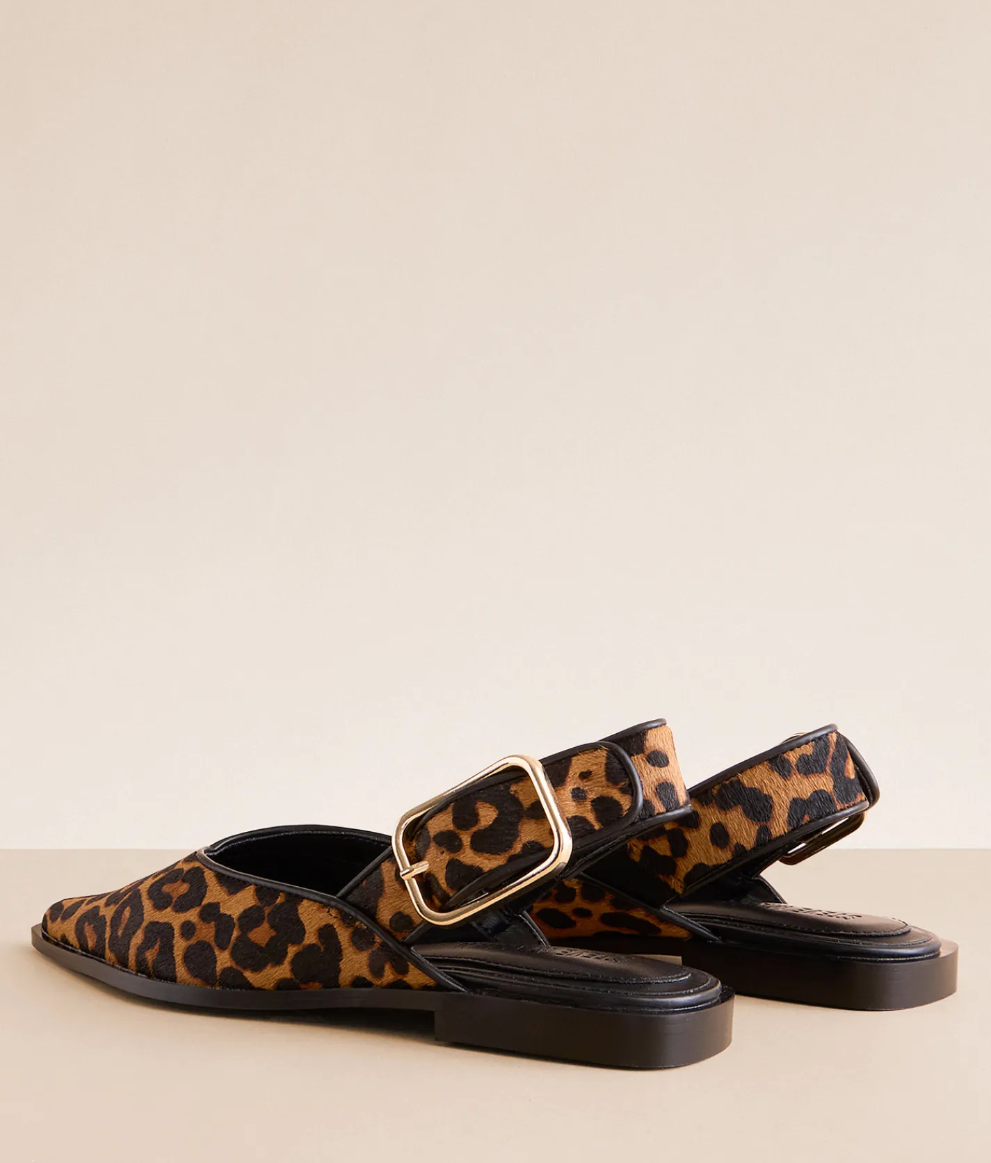 Steve Madden Shay Shoe Leopard New