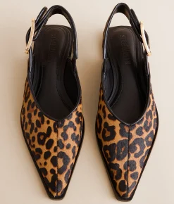Steve Madden Shay Shoe Leopard New