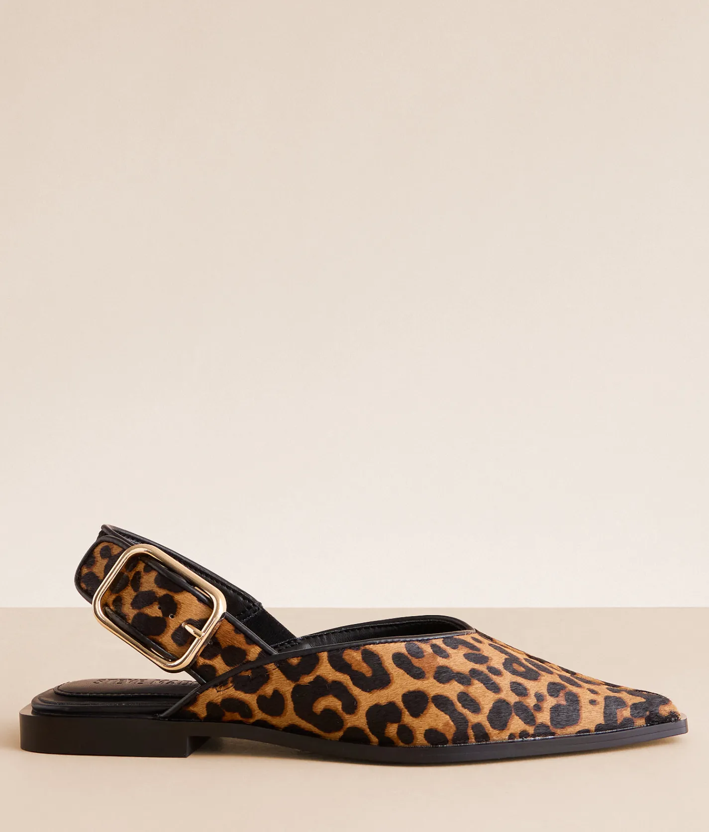 Steve Madden Shay Shoe Leopard New