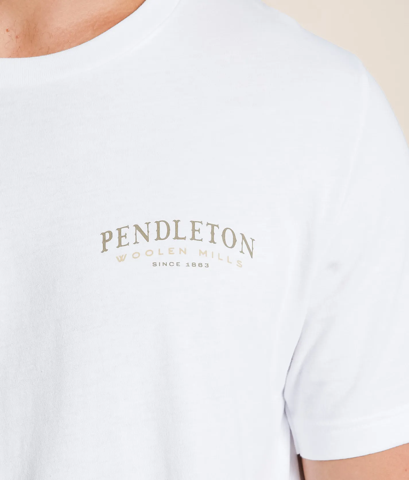 Pendleton Spider Rock Longhorn T-Shirt White Sale