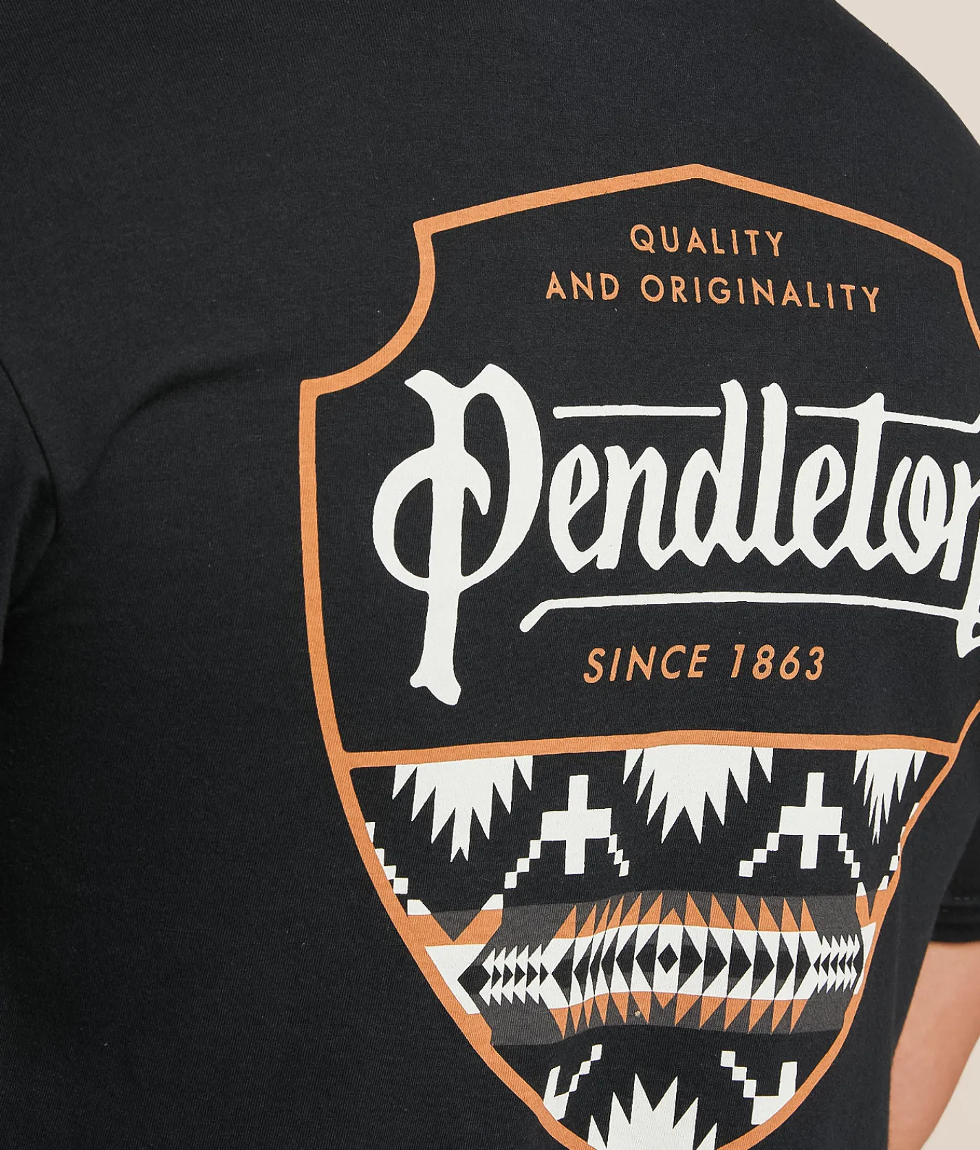 Pendleton Spider Rock Shield T-Shirt Black Outlet