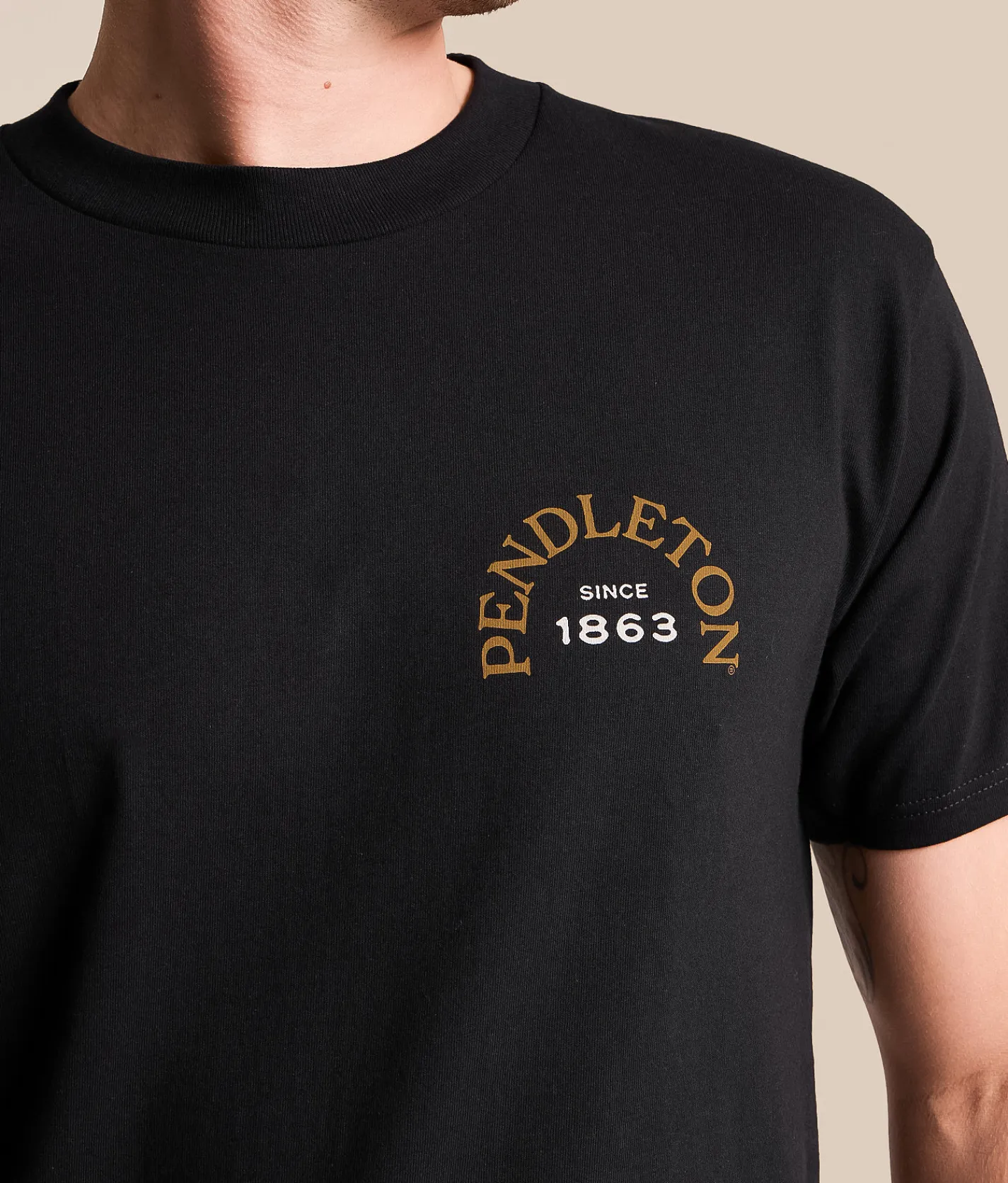 Tops|Graphic T-Shirts | Pendleton Spider Rock Skull T-Shirt Black