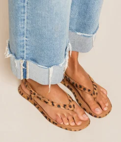 Shoes | Reef Water Willow Maya Sandal Leopard