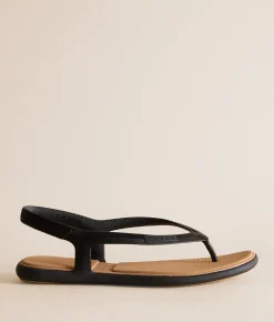 Reef Water Willow Maya Sandal Black Tan